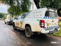 “Piratas do Asfalto”: Suspeito de roubos de mercadorias do Paraguai e residências morre em confronto com o CHOQUE em Foz do Iguaçu “Piratas do Asfalto”: Suspeito de roubos de mercadorias do Paraguai e residências morre em confronto com o CHOQUE em Foz do Iguaçu