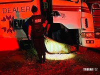 Caminhoneiro de 36 anos é encontrado morto dentro de carreta carregada de batatas na BR-277 Caminhoneiro de 36 anos é encontrado morto dentro de carreta carregada de batatas na BR-277