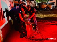 Caminhoneiro de 36 anos é encontrado morto dentro de carreta carregada de batatas na BR-277 Caminhoneiro de 36 anos é encontrado morto dentro de carreta carregada de batatas na BR-277