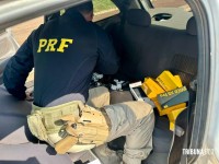 PRF apreende celulares, medicamentos e perfumes durante fiscalização na BR-277 em Santa Terezinha de Itaipu PRF apreende celulares, medicamentos e perfumes durante fiscalização na BR-277 em Santa Terezinha de Itaipu