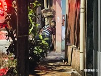 Homem é morto a tiros enquanto estava sentado em frente à residência no Bairro Três Lagoas Homem é morto a tiros enquanto estava sentado em frente à residência no Bairro Três Lagoas