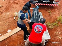 Homem é encontrado morto em terreno baldio ao lado de uma obra em construção em Foz do Iguaçu Homem é encontrado morto em terreno baldio ao lado de uma obra em construção em Foz do Iguaçu