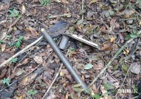Jovem fica ferido após acionar arma improvisada em área arborizada no Paraguai Jovem fica ferido após acionar arma improvisada em área arborizada no Paraguai