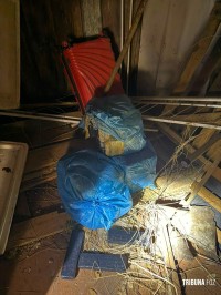 PF e PM apreendem 84 Kg de maconha em imóvel abandonado em Foz do Iguaçu PF e PM apreendem 84 Kg de maconha em imóvel abandonado em Foz do Iguaçu