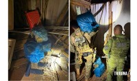 PF e PM apreendem 84 Kg de maconha em imóvel abandonado em Foz do Iguaçu PF e PM apreendem 84 Kg de maconha em imóvel abandonado em Foz do Iguaçu