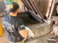 Policia Civil realiza incineração de mais de 17 toneladas de drogas apreendidas em Foz do Iguaçu Policia Civil realiza incineração de mais de 17 toneladas de drogas apreendidas em Foz do Iguaçu