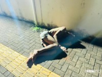 Homem é agredido e socorrido pelo Siate no Parque Monjolo Homem é agredido e socorrido pelo Siate no Parque Monjolo