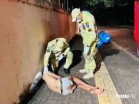 Homem é agredido e socorrido pelo Siate no Parque Monjolo Homem é agredido e socorrido pelo Siate no Parque Monjolo