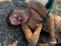 Corpo de um mulher é encontrado boiando no Rio Paraná Corpo de um mulher é encontrado boiando no Rio Paraná