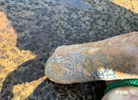 Corpo de um mulher é encontrado boiando no Rio Paraná Corpo de um mulher é encontrado boiando no Rio Paraná