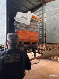 Policia Federal incinera mais de 11 toneladas de drogas apreendidas na região da tríplice fronteira Policia Federal incinera mais de 11 toneladas de drogas apreendidas na região da tríplice fronteira