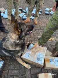 PF e PM apreendem 51,9 Kg de maconha em caminhão de encomendas PF e PM apreendem 51,9 Kg de maconha em caminhão de encomendas