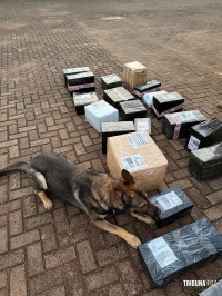 PF e PM apreendem 51,9 Kg de maconha em caminhão de encomendas PF e PM apreendem 51,9 Kg de maconha em caminhão de encomendas