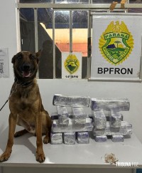 PM apreende 27,4 Kg de maconha em ponto de distribuição de E-commerce em Foz do Iguaçu PM apreende 27,4 Kg de maconha em ponto de distribuição de E-commerce em Foz do Iguaçu