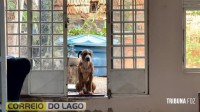 Incêndio destrói parte de residência e assusta moradores na região do Balneário Terra das Águas em Santa Helena Incêndio destrói parte de residência e assusta moradores na região do Balneário Terra das Águas em Santa Helena