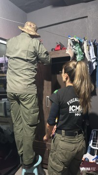 PF deflagra operação de repressão a caça ilegal no Parque Nacional do Iguaçu em Foz do Iguaçu PF deflagra operação de repressão a caça ilegal no Parque Nacional do Iguaçu em Foz do Iguaçu