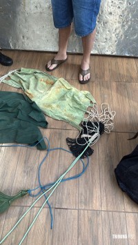 PF deflagra operação de repressão a caça ilegal no Parque Nacional do Iguaçu em Foz do Iguaçu PF deflagra operação de repressão a caça ilegal no Parque Nacional do Iguaçu em Foz do Iguaçu