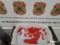 Policia Federal prende paraguaio com cocaína ocultada nas roupas e no corpo no Aeroporto de Foz do Iguaçu Policia Federal prende paraguaio com cocaína ocultada nas roupas e no corpo no Aeroporto de Foz do Iguaçu