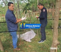 Dois homens morrem após ataque com faca durante festa de aniversário em Itakyry no Paraguai Dois homens morrem após ataque com faca durante festa de aniversário em Itakyry no Paraguai