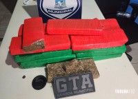 GTA da Guarda Municipal aborda ônibus e encontra mala recheada de maconha em Foz do Iguaçu GTA da Guarda Municipal aborda ônibus e encontra mala recheada de maconha em Foz do Iguaçu