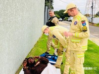 Homem é agredido com golpes de vergalhão por suspeito de usava capuz em Foz do Iguaçu Homem é agredido com golpes de vergalhão por suspeito de usava capuz em Foz do Iguaçu