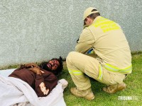 Homem é agredido com golpes de vergalhão por suspeito de usava capuz em Foz do Iguaçu Homem é agredido com golpes de vergalhão por suspeito de usava capuz em Foz do Iguaçu