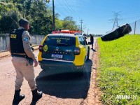 Homem furta van escolar, tenta fugir e acaba preso após veículo tombar em Foz do Iguaçu Homem furta van escolar, tenta fugir e acaba preso após veículo tombar em Foz do Iguaçu