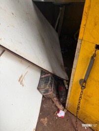 PF, PM E Exército apreendem 88,9 Kg de maconha na Favela do Monsenhor em Foz do Iguaçu PF, PM E Exército apreendem 88,9 Kg de maconha na Favela do Monsenhor em Foz do Iguaçu