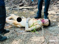 Corpo de homem desaparecido é encontrado boiando no Rio Paraná com sinais de disparos de arma de fogo Corpo de homem desaparecido é encontrado boiando no Rio Paraná com sinais de disparos de arma de fogo