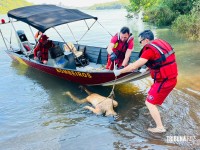 Corpo de homem desaparecido é encontrado boiando no Rio Paraná com sinais de disparos de arma de fogo Corpo de homem desaparecido é encontrado boiando no Rio Paraná com sinais de disparos de arma de fogo