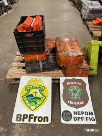 Policia Federal, Policia Militar e Exército apreendem 139,7 Kg de maconha na barranca do Rio Paraná em Foz do Iguaçu Policia Federal, Policia Militar e Exército apreendem 139,7 Kg de maconha na barranca do Rio Paraná em Foz do Iguaçu