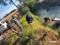 Cofre roubado de candidato a vereador é encontrado abandonado em Santa Rosa no Paraguai Cofre roubado de candidato a vereador é encontrado abandonado em Santa Rosa no Paraguai