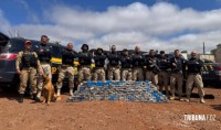 Cão farejador localiza 240 Kg de cocaína escondidos em pneus de caminhão em Santa Tereza do Oeste Cão farejador localiza 240 Kg de cocaína escondidos em pneus de caminhão em Santa Tereza do Oeste