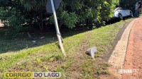 Veículo sai da pista, bate contra poste e condutor fica ferido, na entrada do distrito de Sub-Sede em Santa Helena Veículo sai da pista, bate contra poste e condutor fica ferido, na entrada do distrito de Sub-Sede em Santa Helena