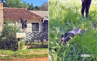 Homem preso após suposto roubo a residência e ameaças com faca e facão em Hernandarias no Paraguai Homem preso após suposto roubo a residência e ameaças com faca e facão em Hernandarias no Paraguai