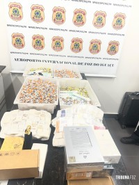 Policia Federal prende dois passageiros com cerca de 1.900 ampolas de tirzepatida e anabolizantes no Aeroporto de Foz do Iguaçu Policia Federal prende dois passageiros com cerca de 1.900 ampolas de tirzepatida e anabolizantes no Aeroporto de Foz do Iguaçu
