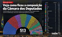 Renovação da Câmara federal chegou a 35%; veja nova composição da Casa Renovação da Câmara federal chegou a 35%; veja nova composição da Casa
