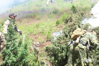 SENAD e Polícia Federal brasileira desferem golpe no narcotráfico que ultrapassa US$ 45,5 milhões de dólares SENAD e Polícia Federal brasileira desferem golpe no narcotráfico que ultrapassa US$ 45,5 milhões de dólares
