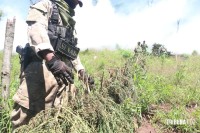 SENAD e Polícia Federal brasileira desferem golpe no narcotráfico que ultrapassa US$ 45,5 milhões de dólares SENAD e Polícia Federal brasileira desferem golpe no narcotráfico que ultrapassa US$ 45,5 milhões de dólares