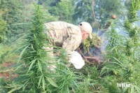 SENAD e Polícia Federal brasileira desferem golpe no narcotráfico que ultrapassa US$ 45,5 milhões de dólares SENAD e Polícia Federal brasileira desferem golpe no narcotráfico que ultrapassa US$ 45,5 milhões de dólares