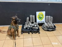BPFRON apreende 13,3 Kg de maconha em abordagem a ônibus em Medianeira BPFRON apreende 13,3 Kg de maconha em abordagem a ônibus em Medianeira