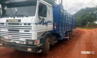 Caminhão e seis equinos são apreendidos devido a inconsistências em guia de transporte no Paraguai Caminhão e seis equinos são apreendidos devido a inconsistências em guia de transporte no Paraguai