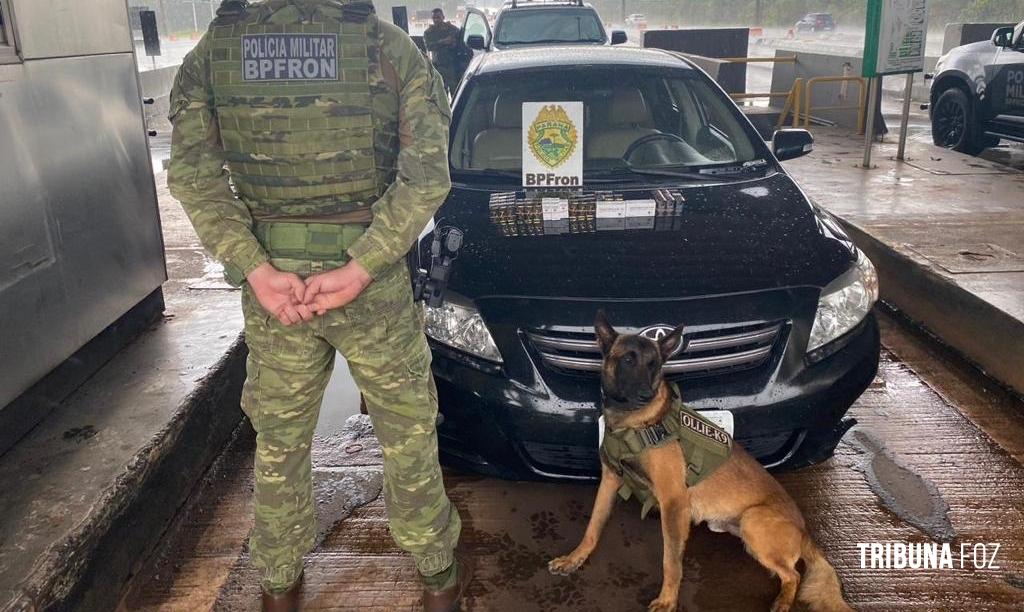 BPFRON apreende anabolizantes em Céu Azul