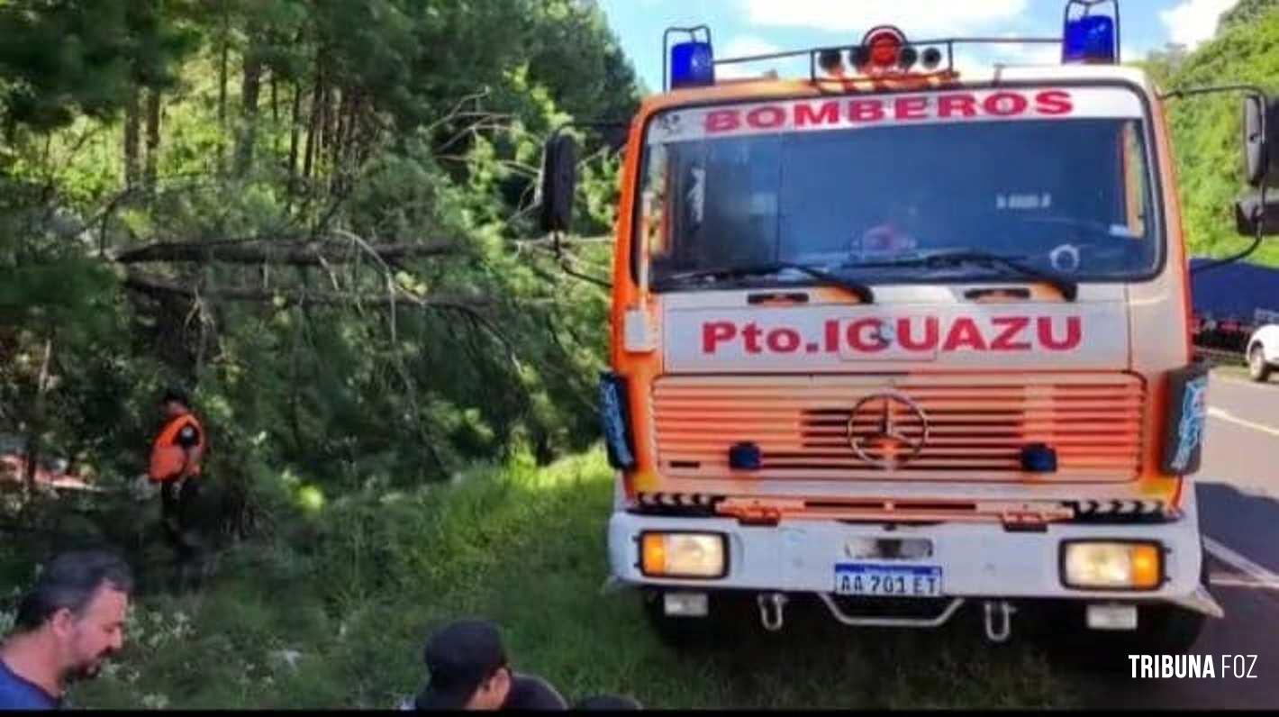 Caminhoneiro argentino morre após sair da pista na Ruta-12 em Puerto Iguazú