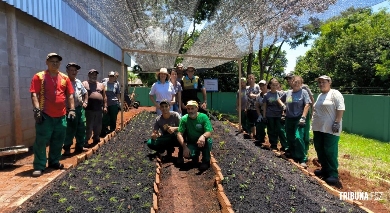 Catadores da UVR do Campos do Iguaçu terão horta comunitária para o plantio de hortaliças e plantas medicinais