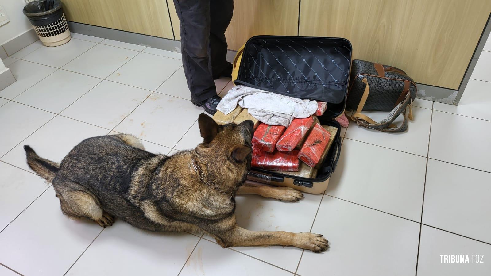 Policia Federal prende passageira com 20 Kg de maconha na rodoviária de Foz do Iguaçu