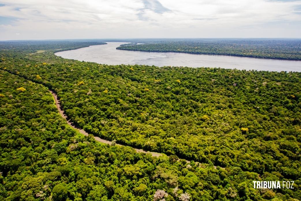 TRF-4 condena agricultor por plantio em área embargada pelo ICMBio