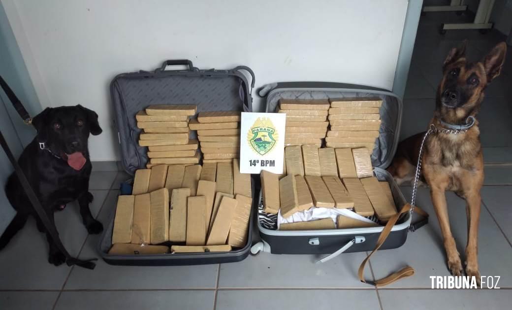 Polícia Militar prende homem com 39 Kg de maconha no Bairro Três Lagoas