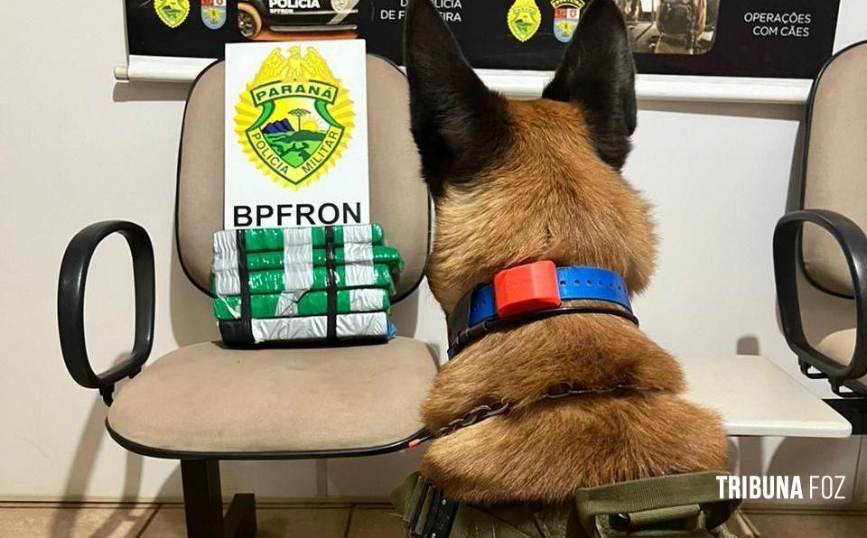 BPFRON apreende drogas em Entre Rios do Oeste