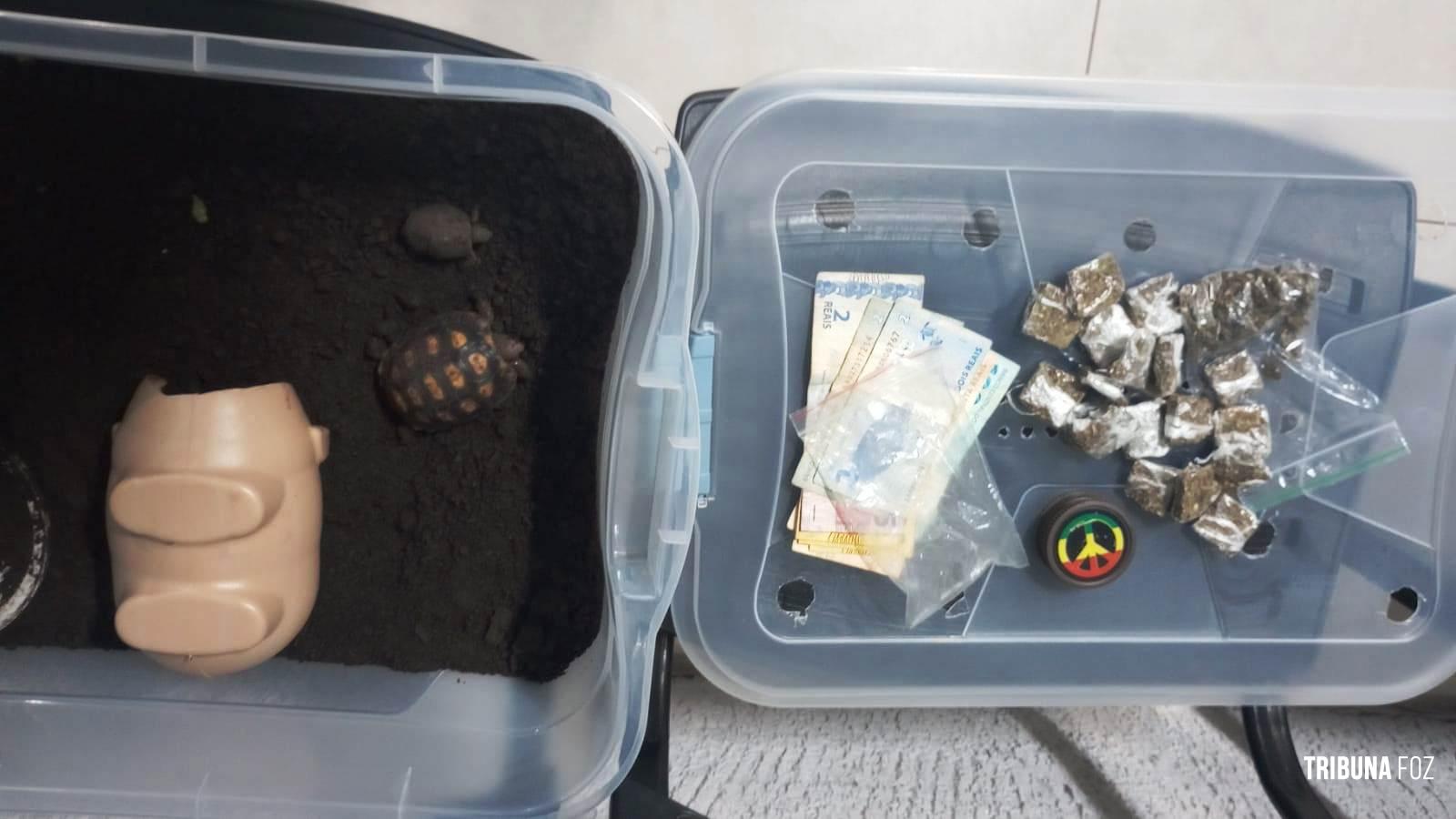 PRF prende condutor com maconha e animais proibidos na BR-277 em Céu Azul